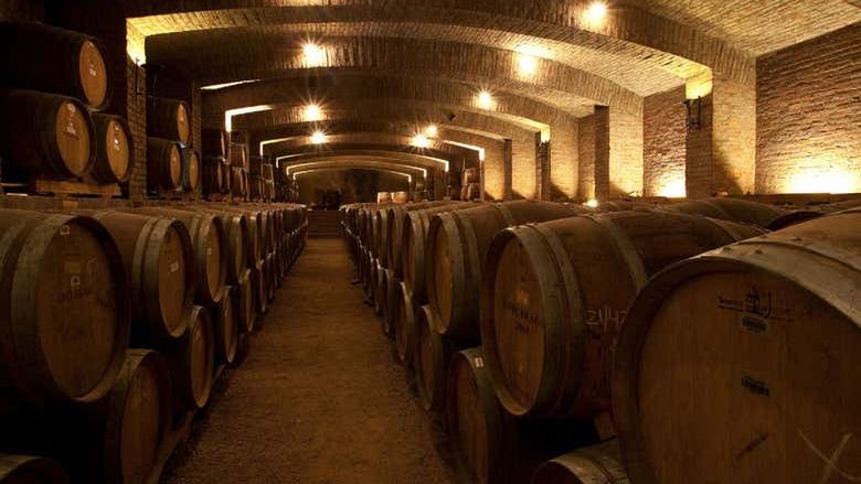 Undurraga Winery Half-Day Tour from Santiago: Mapuche Sculptures and Tasting (2/3)