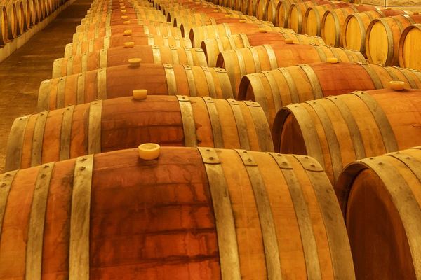Undurraga Winery Half-Day Tour from Santiago: Mapuche Sculptures and Tasting
