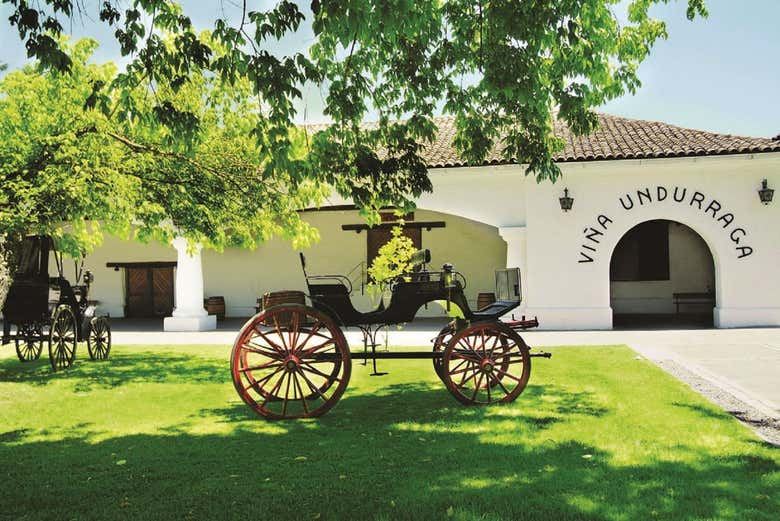 Undurraga Winery Half-Day Tour from Santiago: Mapuche Sculptures and Tasting (1/3)