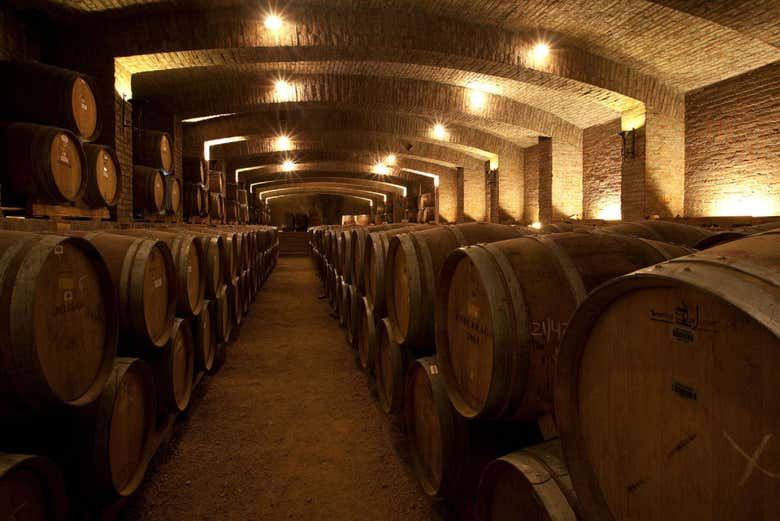 Undurraga Winery Half-Day Tour from Santiago: Mapuche Sculptures and Tasting (2/3)