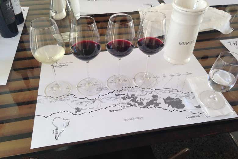 Undurraga Winery Half-Day Tour from Santiago: Mapuche Sculptures and Tasting (3/3)