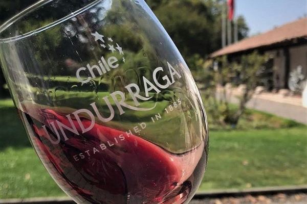 Undurraga Winery Tour by Chilenjoy: Gente de La Tierra Museum and Tasting
