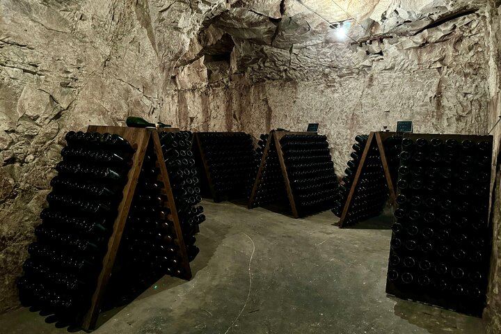 Small-Group Champagne Tour from Paris, Sommelier Guide: Place d'Italie Pickup, 2 Wineries (5/12)