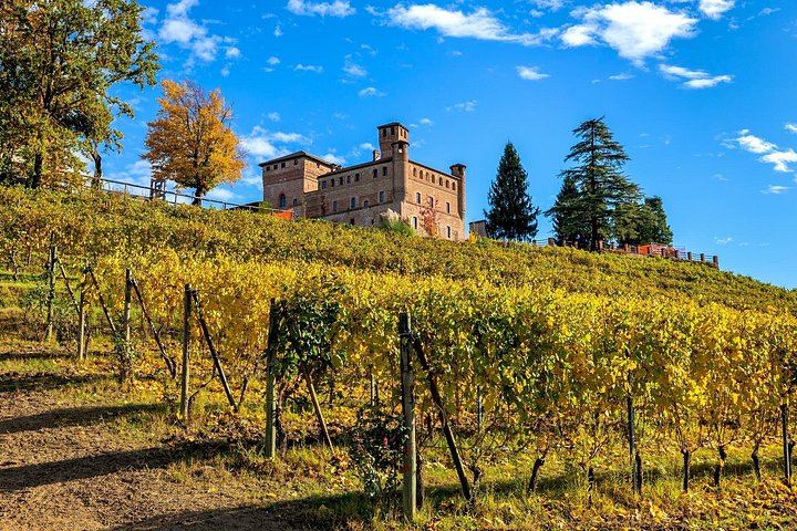 Small-Group Barolo Day Trip from Milan: Alba, Grinzane Cavour Castle and Family Winery (5/12)