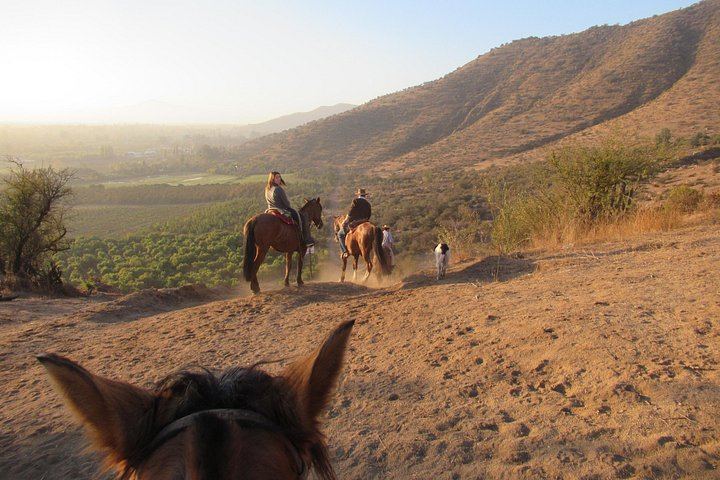 Private Horseback Wine Tour from Santiago: Organic Wine and Country Grill (6/12)