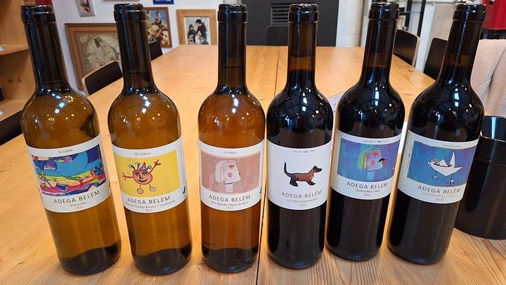 Adega Belém Urban Winery Tour in Lisbon with 5 Wines and Tapas, Fridays and Saturdays (1/8)