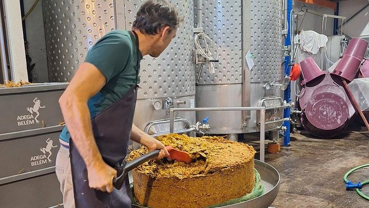 Adega Belém Urban Winery Tour in Lisbon with 5 Wines and Tapas, Fridays and Saturdays (4/8)