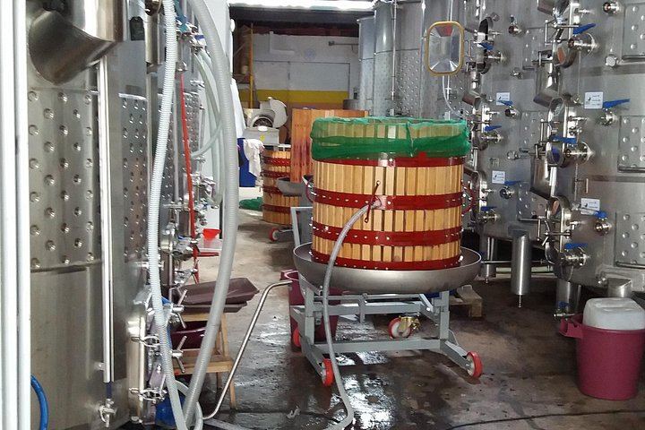 Adega Belém Urban Winery Tour in Lisbon with 5 Wines and Tapas, Fridays and Saturdays (5/8)