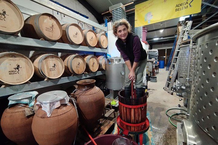 Adega Belém Urban Winery Tour in Lisbon with 5 Wines and Tapas, Fridays and Saturdays (3/8)