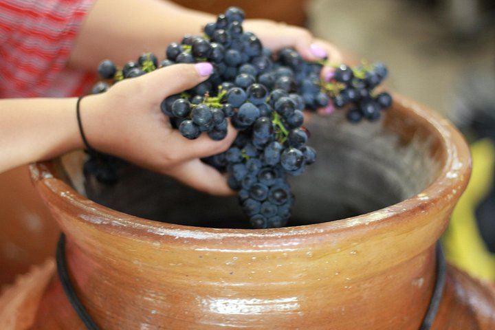 Adega Belém Urban Winery Tour in Lisbon with 5 Wines and Tapas, Fridays and Saturdays (7/8)