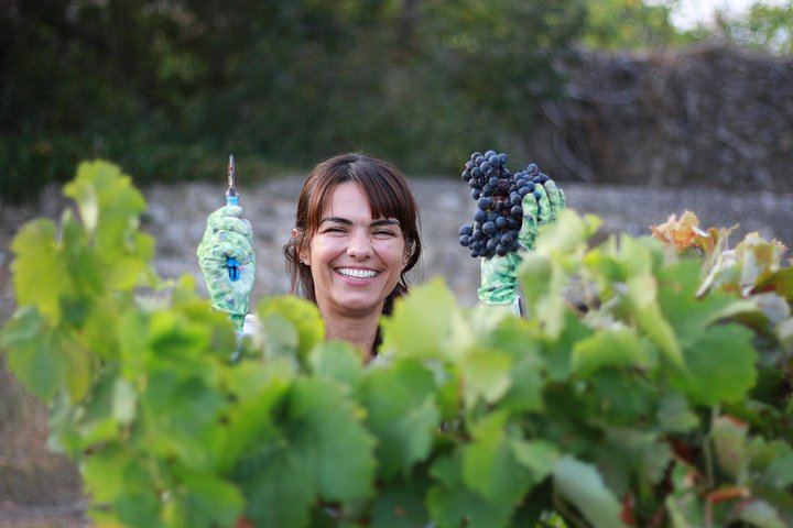 Adega Belém Urban Winery Tour in Lisbon with 5 Wines and Tapas, Fridays and Saturdays (6/8)