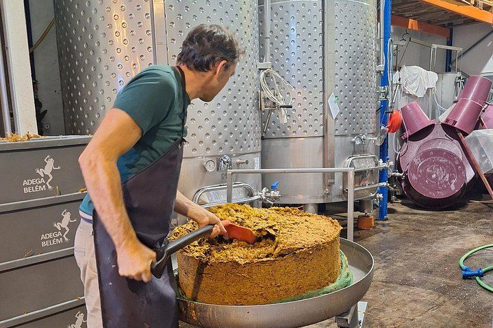 Adega Belém Urban Winery Tour in Lisbon with 5 Wines and Tapas, Fridays and Saturdays (4/8)