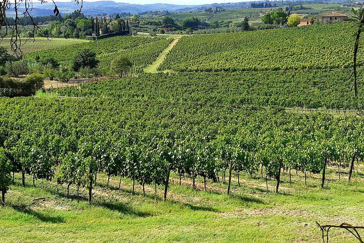 Private Chianti and San Gimignano Day Trip by Minivan with Farm Lunch and Wine Tasting (7/12)