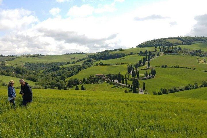 Brunello and Vino Nobile Tour: Montalcino, Montepulciano and Pienza Pecorino (8/12)