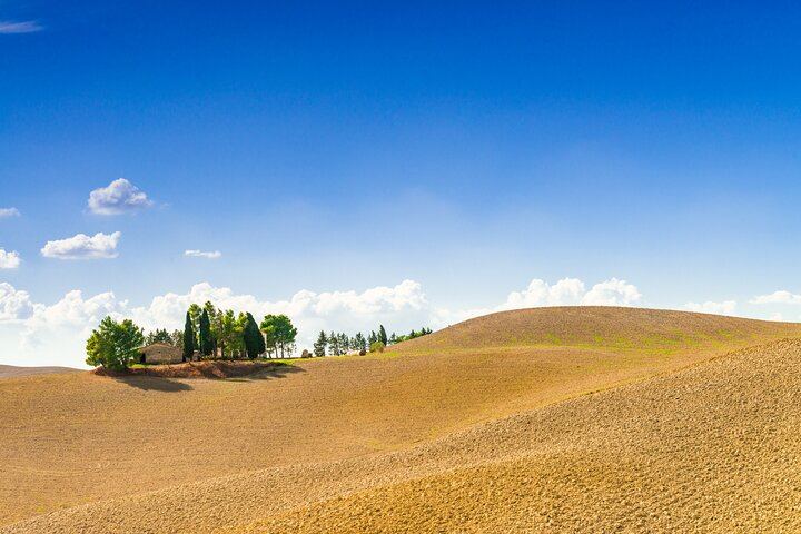 Chianti, Montalcino and Montepulciano by Minivan from Florence: Wine Tastings and Lunch (12/12)