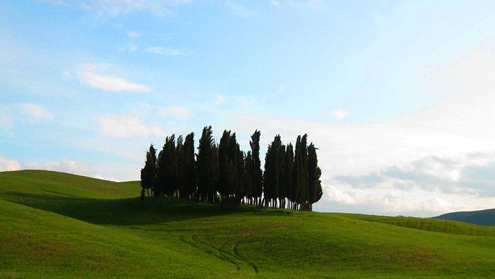 Private Pienza and Montalcino Day Tour: Organic Pecorino Dairy and Brunello Cellar (3/8)