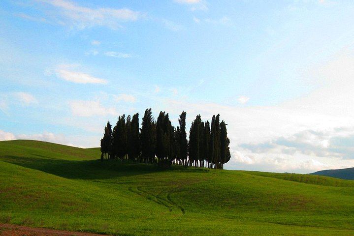 Private Pienza and Montalcino Day Tour: Organic Pecorino Dairy and Brunello Cellar (3/8)