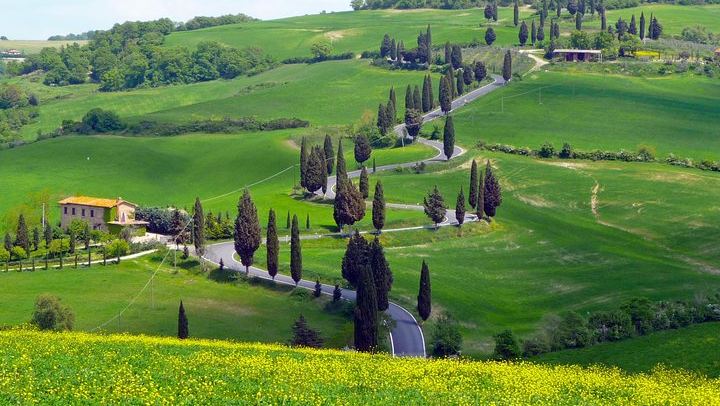 Private 8-Hour Tour from Siena: Capanna di Cencioni Wine, Pienza and Val d'Orcia (1/12)