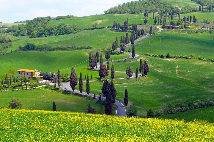 Private 8-Hour Tour from Siena: Capanna di Cencioni Wine, Pienza and Val d'Orcia (1/12)