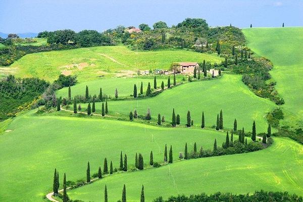 Vespa Ride for Couples in Tuscany: Val d'Orcia or Lake Trasimeno, then Winery Lunch
