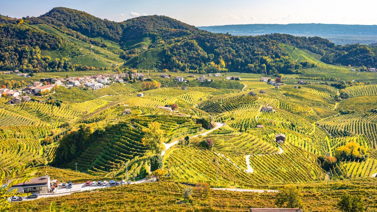 Terraced Prosecco vineyards on the steep hills around Valdobbiadene in Veneto, with a village in the valley