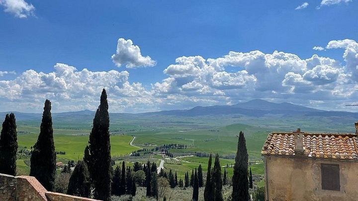 Val d'Orcia Minivan Day Tour from Florence: Montalcino, Pienza Lunch and Montepulciano (3/12)