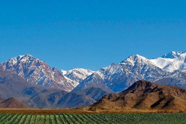 Private Uco Valley Wine Tour from Mendoza: La Azul Tasting and Bousquet Organic Lunch