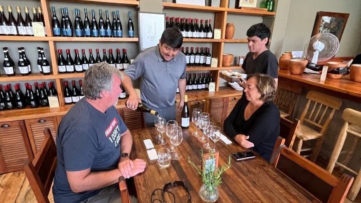 Private Valparaiso and Viña del Mar Tour with Casablanca Wine Tasting, Moai and Funicular (2/12)
