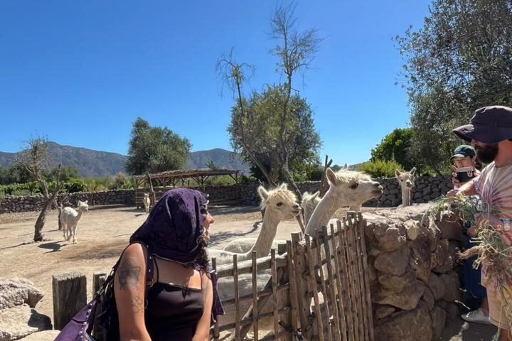 Private Valparaiso and Viña del Mar Tour with Casablanca Wine Tasting, Moai and Funicular (7/12)