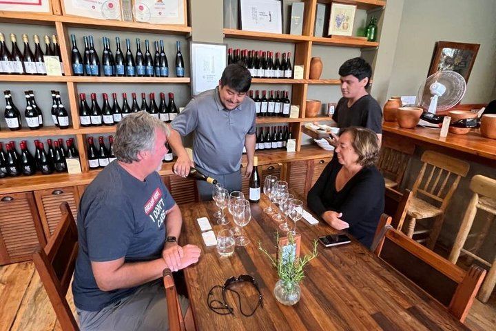 Private Valparaiso and Viña del Mar Tour with Casablanca Wine Tasting, Moai and Funicular (2/12)
