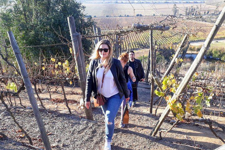 Private Valparaiso and Viña del Mar Tour with Casablanca Wine Tasting, Moai and Funicular (5/12)