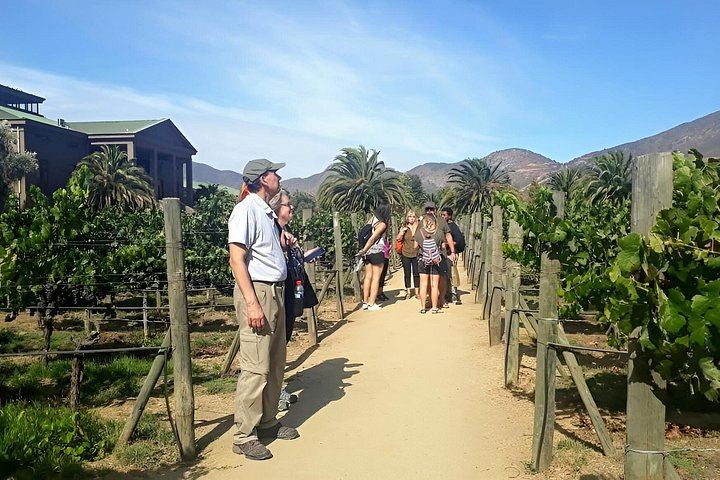 Small-Group Valparaíso, Viña del Mar and Casablanca Tasting from Santiago, Max 7 (9/11)