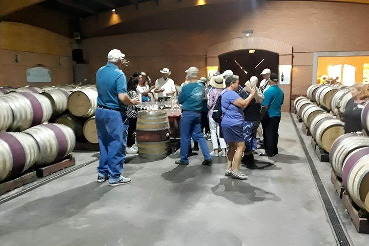 Small-Group Valparaíso, Viña del Mar and Casablanca Tasting from Santiago, Max 7 (10/11)