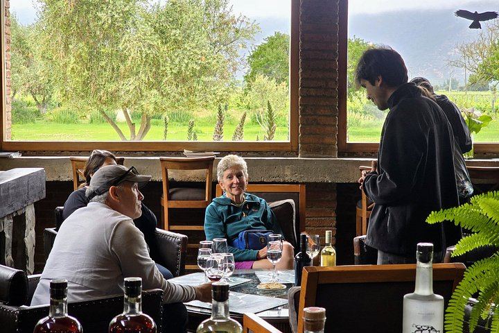 Small-Group Valparaíso, Viña del Mar and Casablanca Tasting from Santiago, Max 7 (8/11)