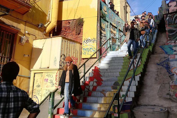 Casablanca Valley Wine Tasting and Valparaiso Heritage Walk, Markets and Elevators (5/12)