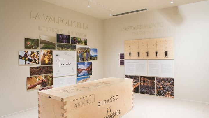 Montresor Winery Cellar Visit and Tasting near Verona: Valpolicella Reds or Garda Whites (4/10)
