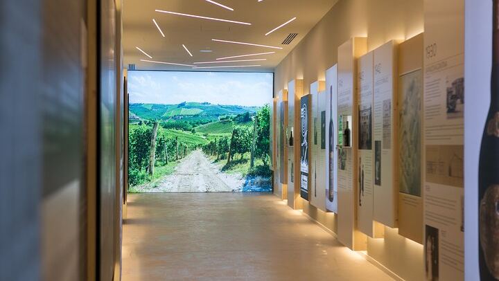Montresor Winery Cellar Visit and Tasting near Verona: Valpolicella Reds or Garda Whites (3/10)