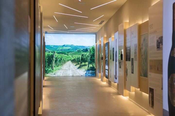 Montresor Winery Cellar Visit and Tasting near Verona: Valpolicella Reds or Garda Whites (3/10)