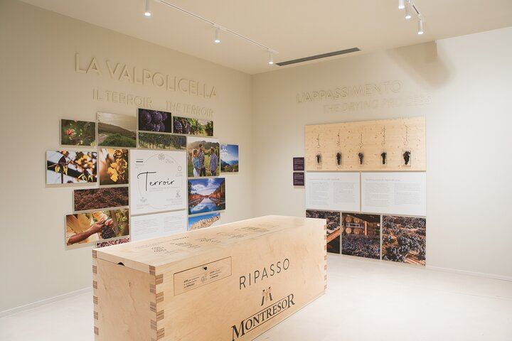 Montresor Winery Cellar Visit and Tasting near Verona: Valpolicella Reds or Garda Whites (4/10)