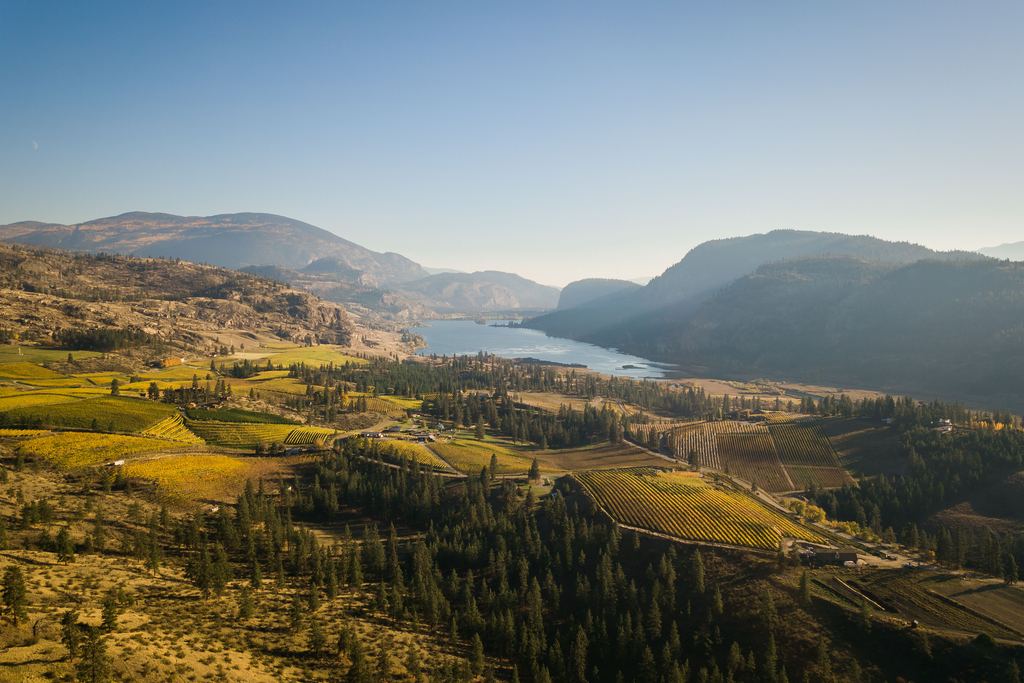 Aerial view of vineyards and Vaseux Lake in the Okanagan Valley, British Columbia