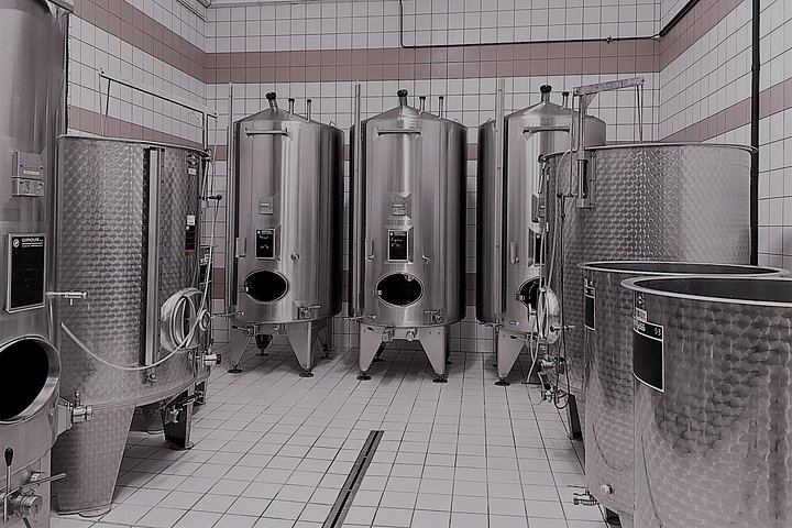 Half-Day Van Visit to Munoz Bruneau Family Champagne Estate, Épernay Pickup (3/12)