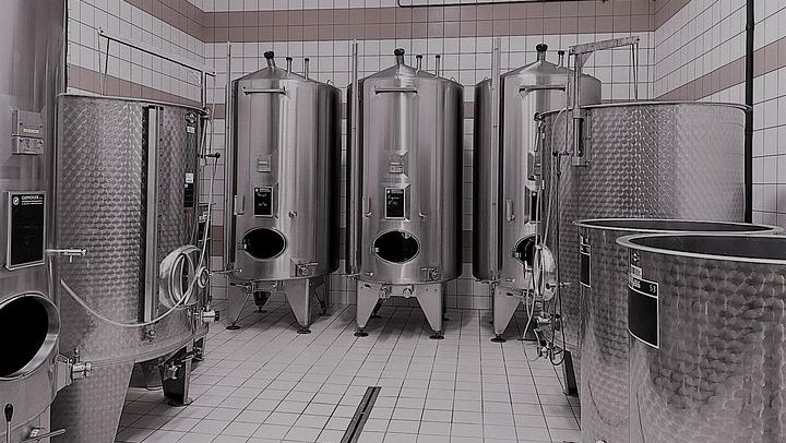 Half-Day Van Visit to Munoz Bruneau Family Champagne Estate, Épernay Pickup (3/12)
