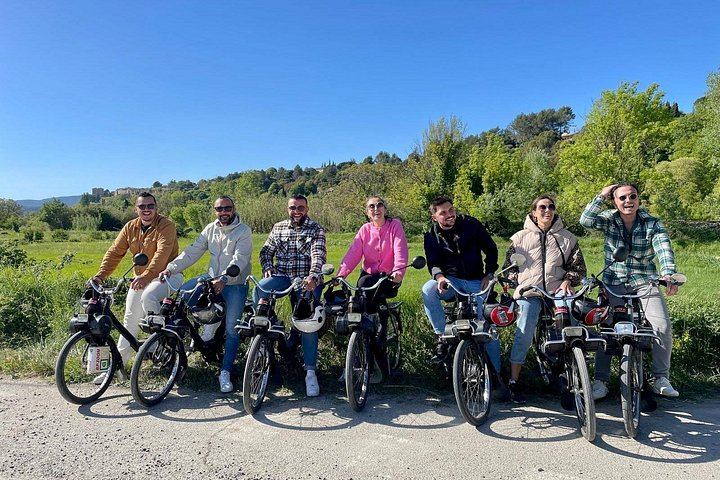 Vintage Solex Ride Through the Vineyards of Domaine des Favards, with Organic Wine Tasting (7/10)