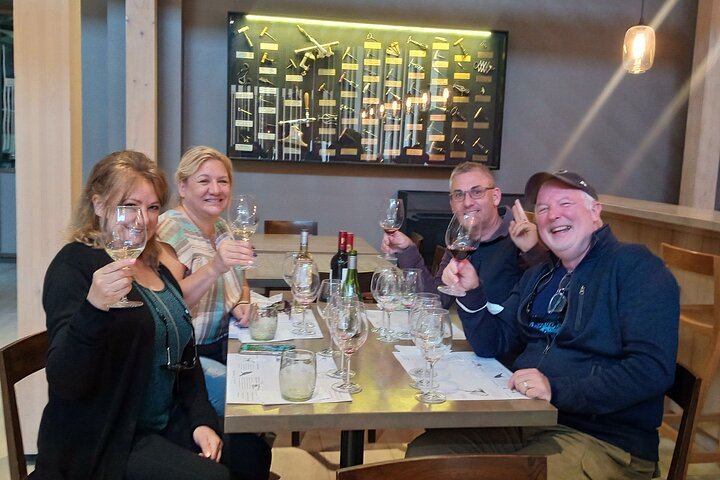 Casablanca Valley Full-Day Wine Tour with Three Vineyards and Casas del Bosque Lunch (6/12)