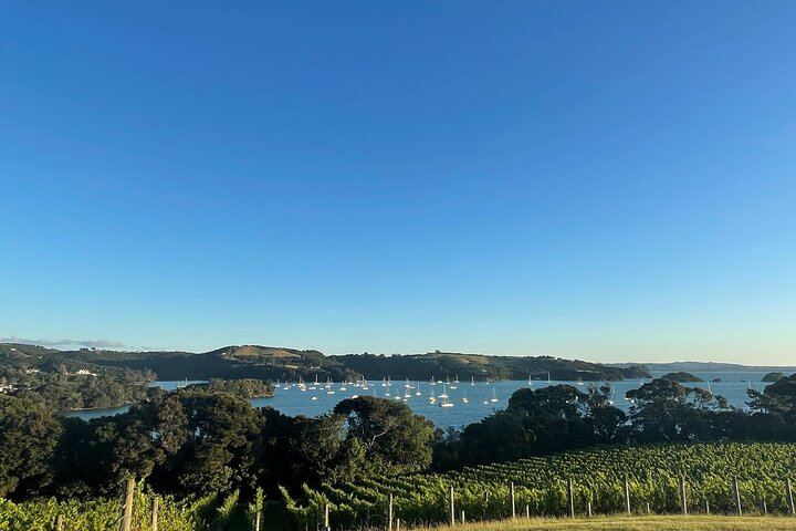 Waiheke Half-Day Scenic Wine Tour: Two Vineyards, Platter Lunch, 12pm Ferry (6/11)