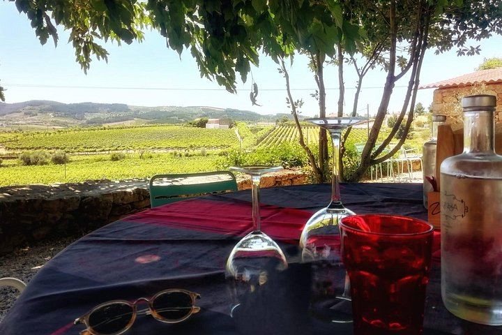 Douro Valley Premium Small Group from Porto: Port Tasting, Boat Ride, Farm Lunch (12/12)