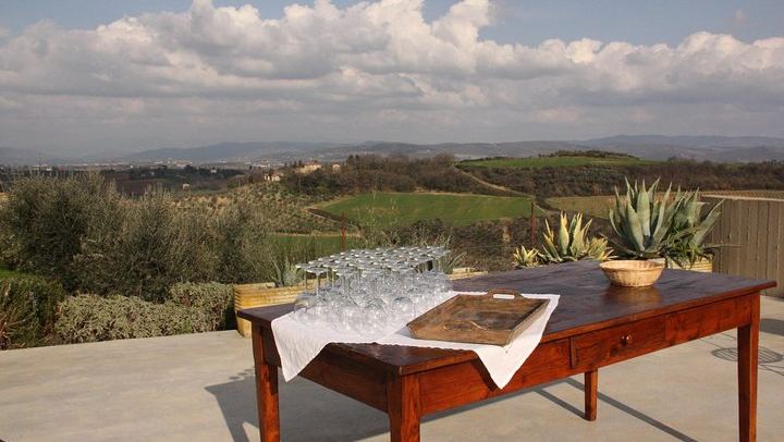 Organic and Biodynamic Chianti Small Family Wineries: Greve, Montefioralle and Two Estates (4/11)