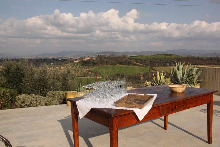 Organic and Biodynamic Chianti Small Family Wineries: Greve, Montefioralle and Two Estates (4/11)