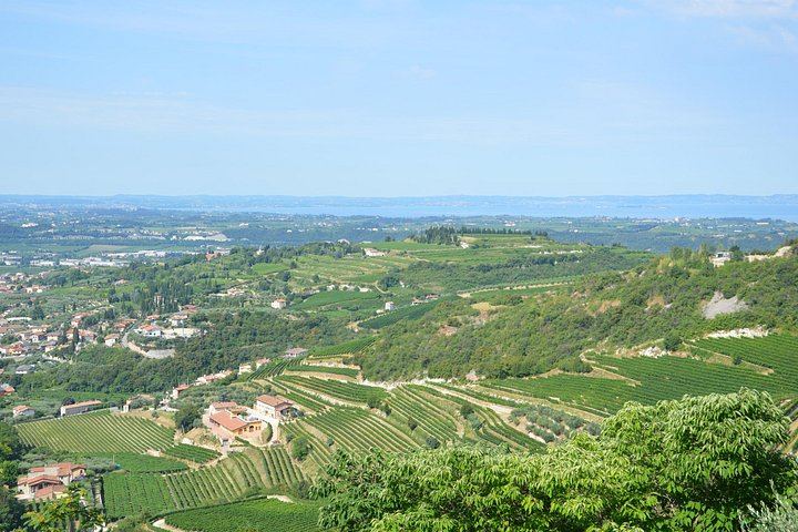 Pagus Half-Day Amarone Wine Tour from Verona with San Giorgio di Valpolicella Stop (2/7)