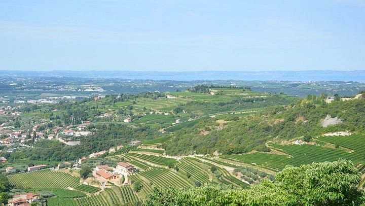 Pagus Half-Day Amarone Wine Tour from Verona with San Giorgio di Valpolicella Stop (2/7)